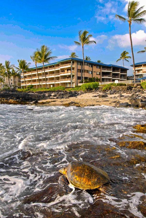 Kona Reef Hawaii By Raintree Lejlighedshotel Kailua-Kona Eksteriør billede